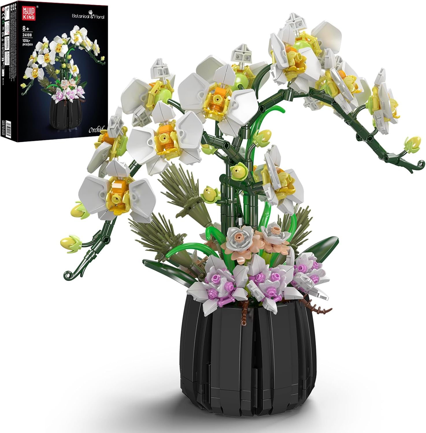 Orchideen
