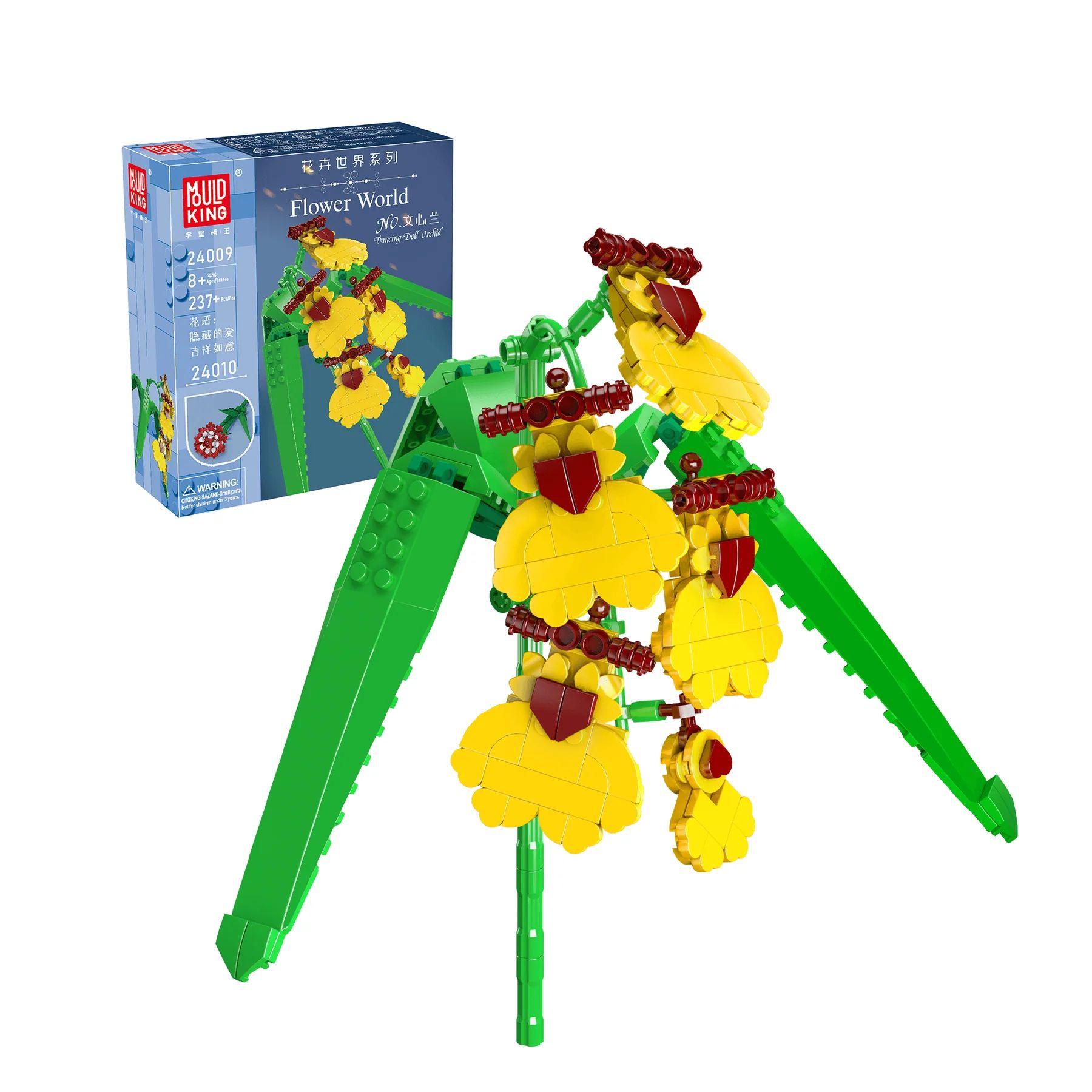 Gelbe Orchidee - Oncidium flexuosum Gelbe Orchidee - Oncidium flexuosum