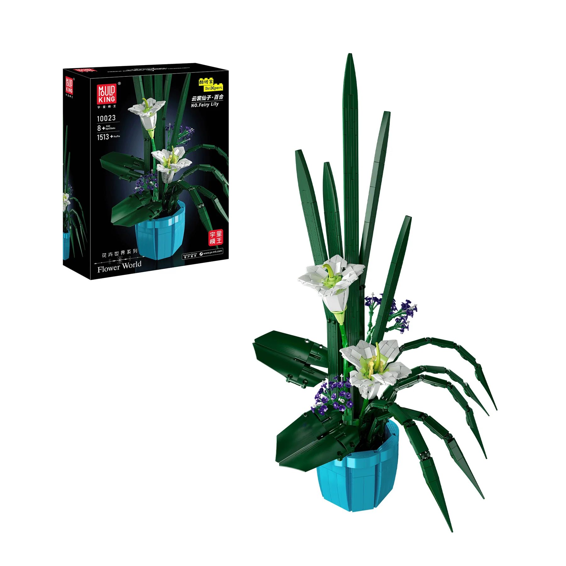 Zauberlilien Zauberlilien